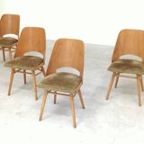 Set of 4 chairs model 514 by Radomir Hofman for Ton 1960