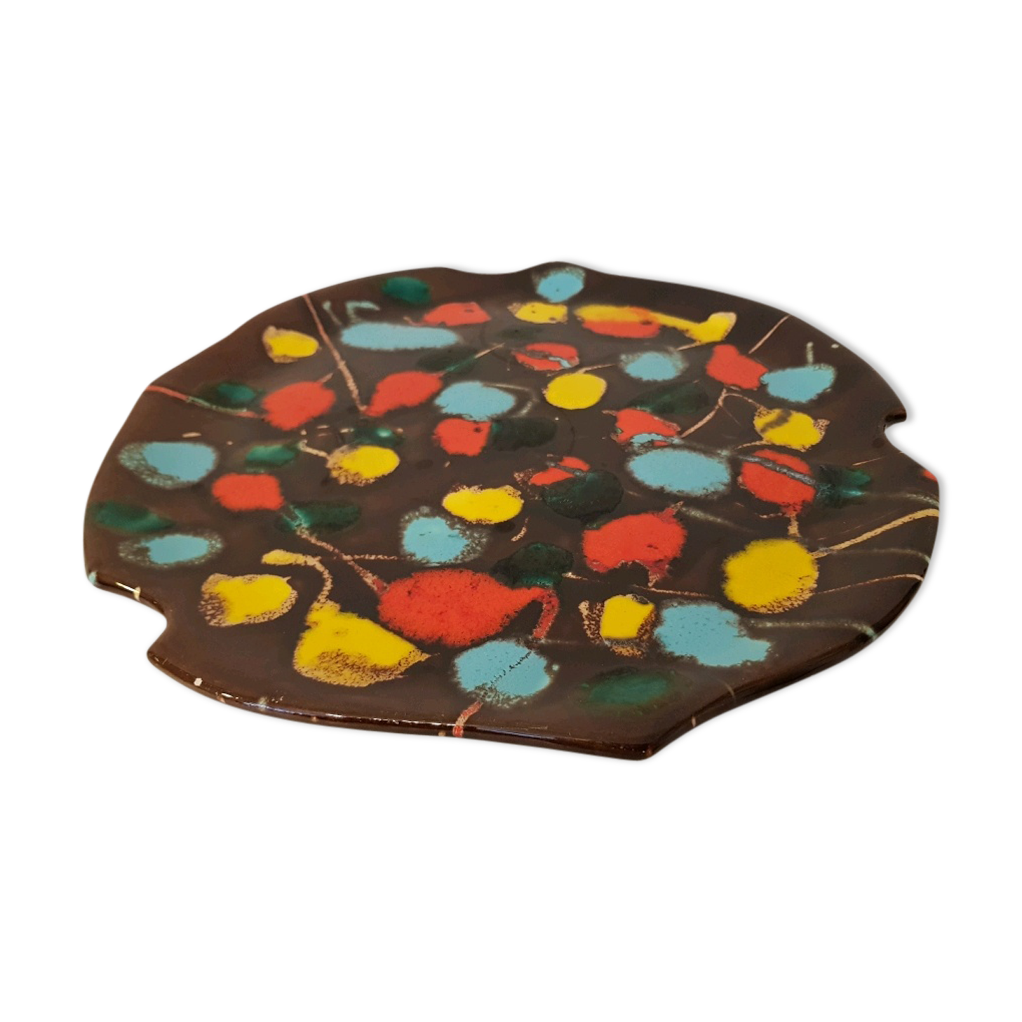 Dish 60 multicolored vercor