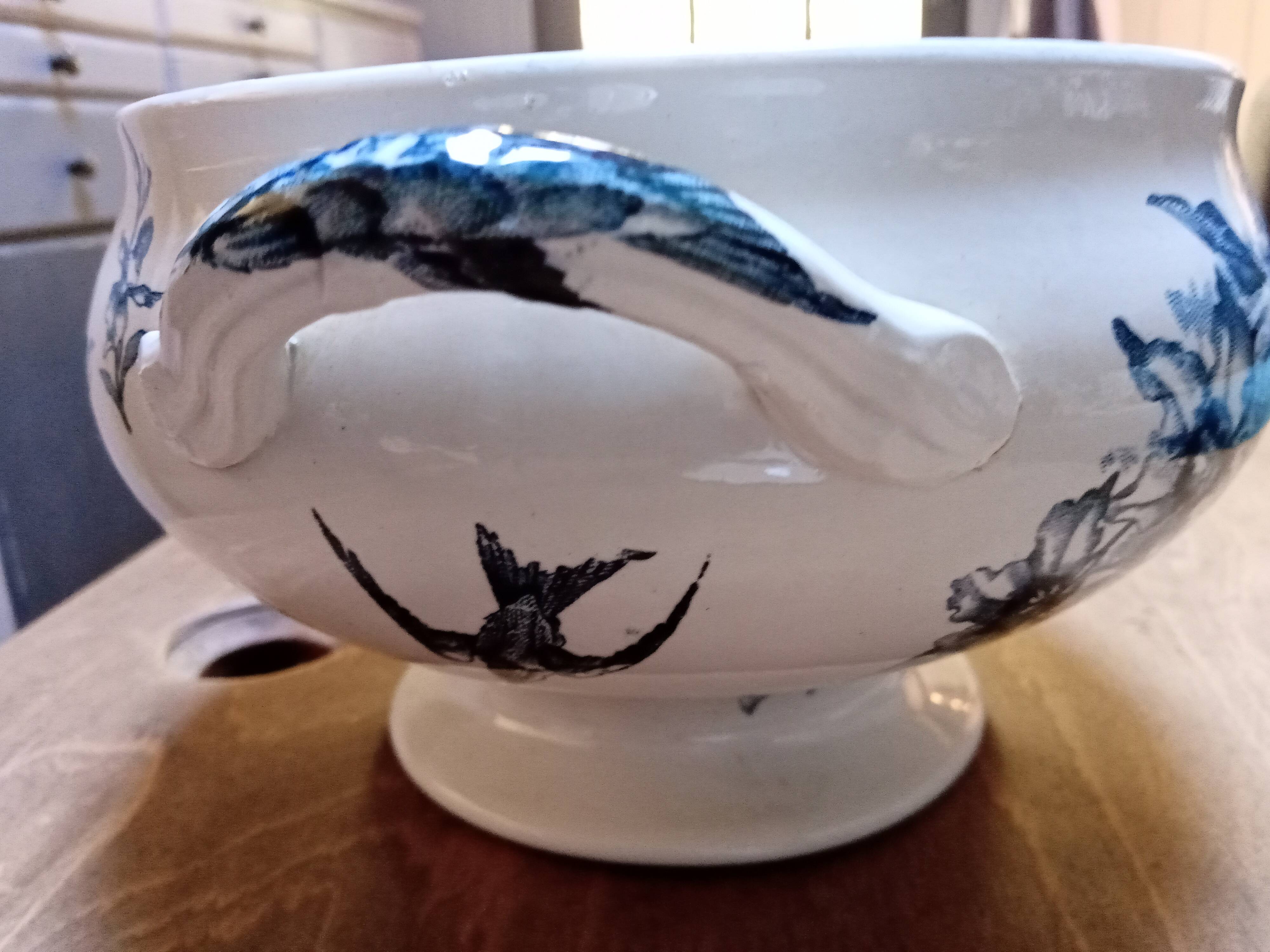 Tureen Iron Earth Orchids