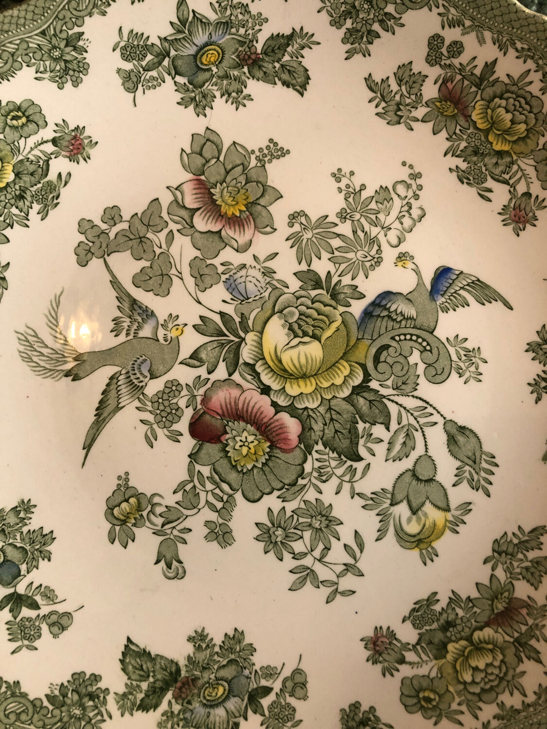 Dish Wedgwood Oriental Pheasants green