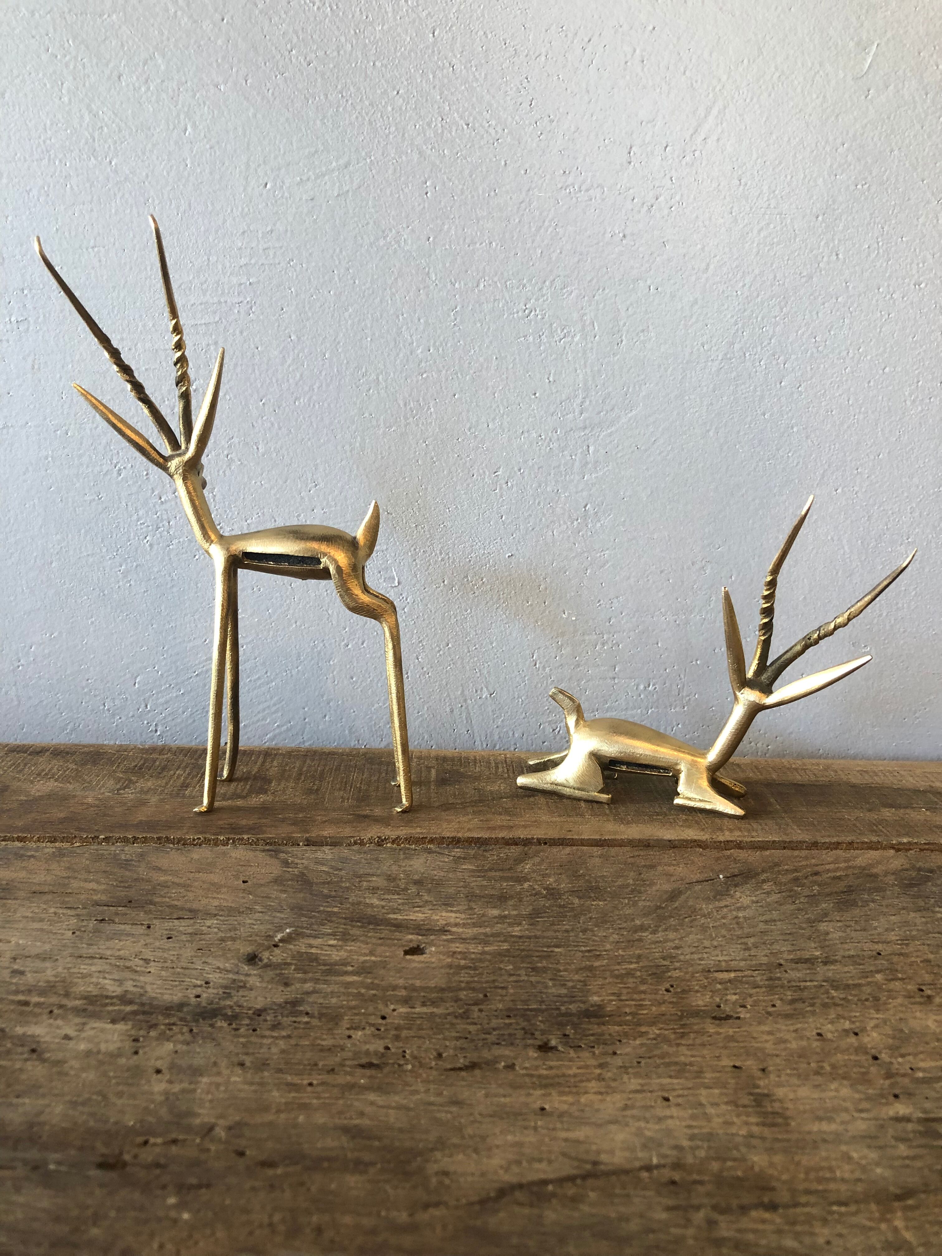 Two golden animal subjects