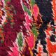 Colorful boujad Moroccan rug - 165 x 260 cm