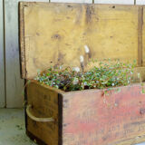 Old wooden ammunition box