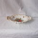 Earthenware plate