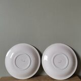 Set of 2 vintage flower pattern plates made in France