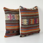Cushion