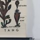 Vintage educational wall hanging roll chart biology