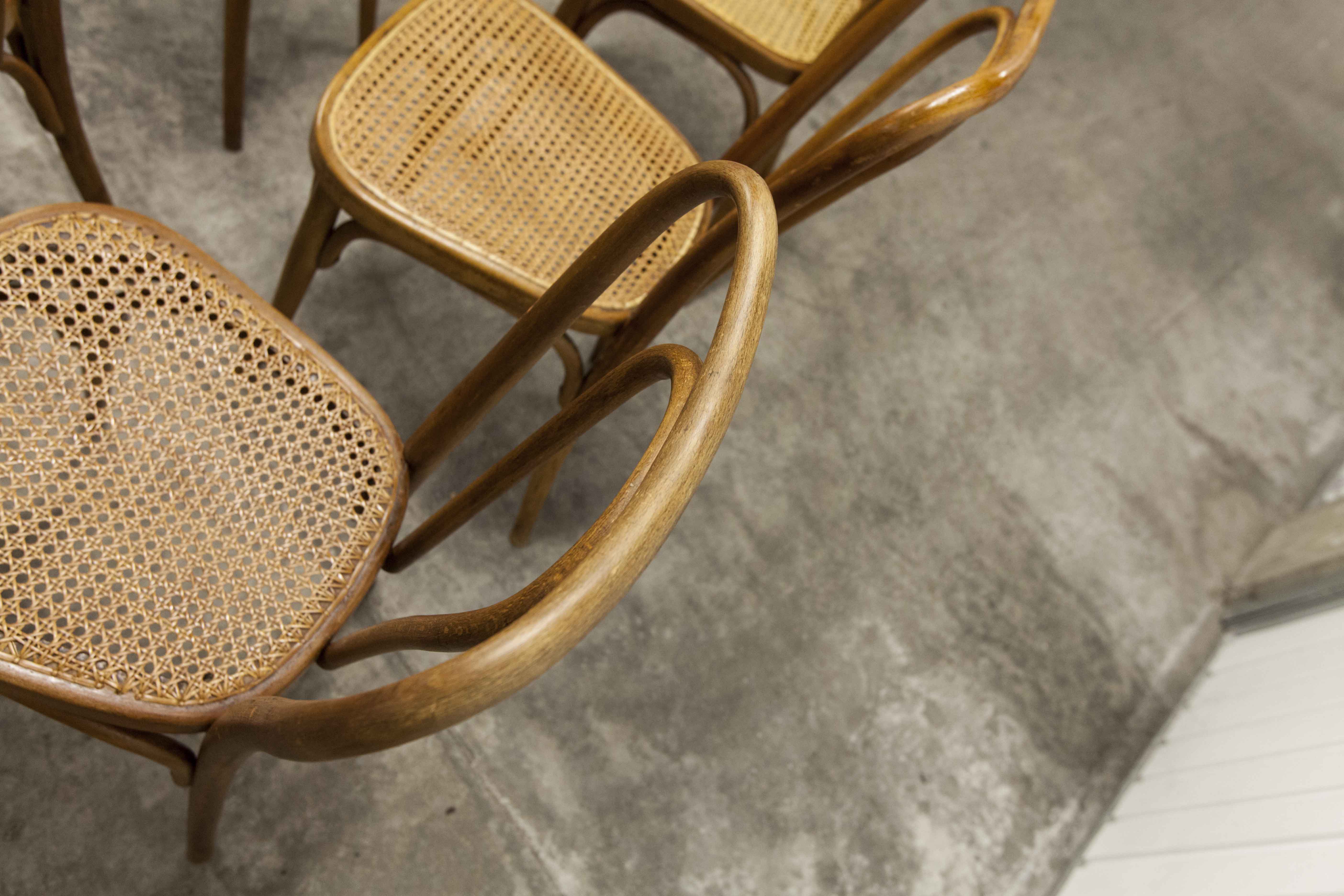 Set of 6 chairs bistro j&j kohn 1900 seat cannage
