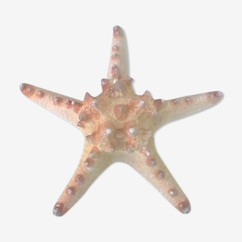 Authentic starfish