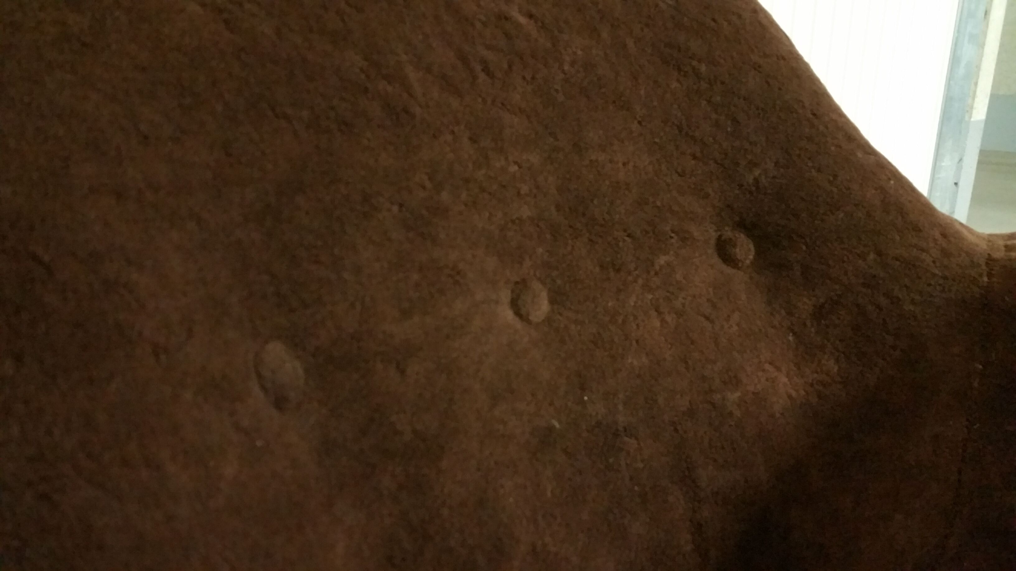 Salon canapé 2 fauteuils organic année 50