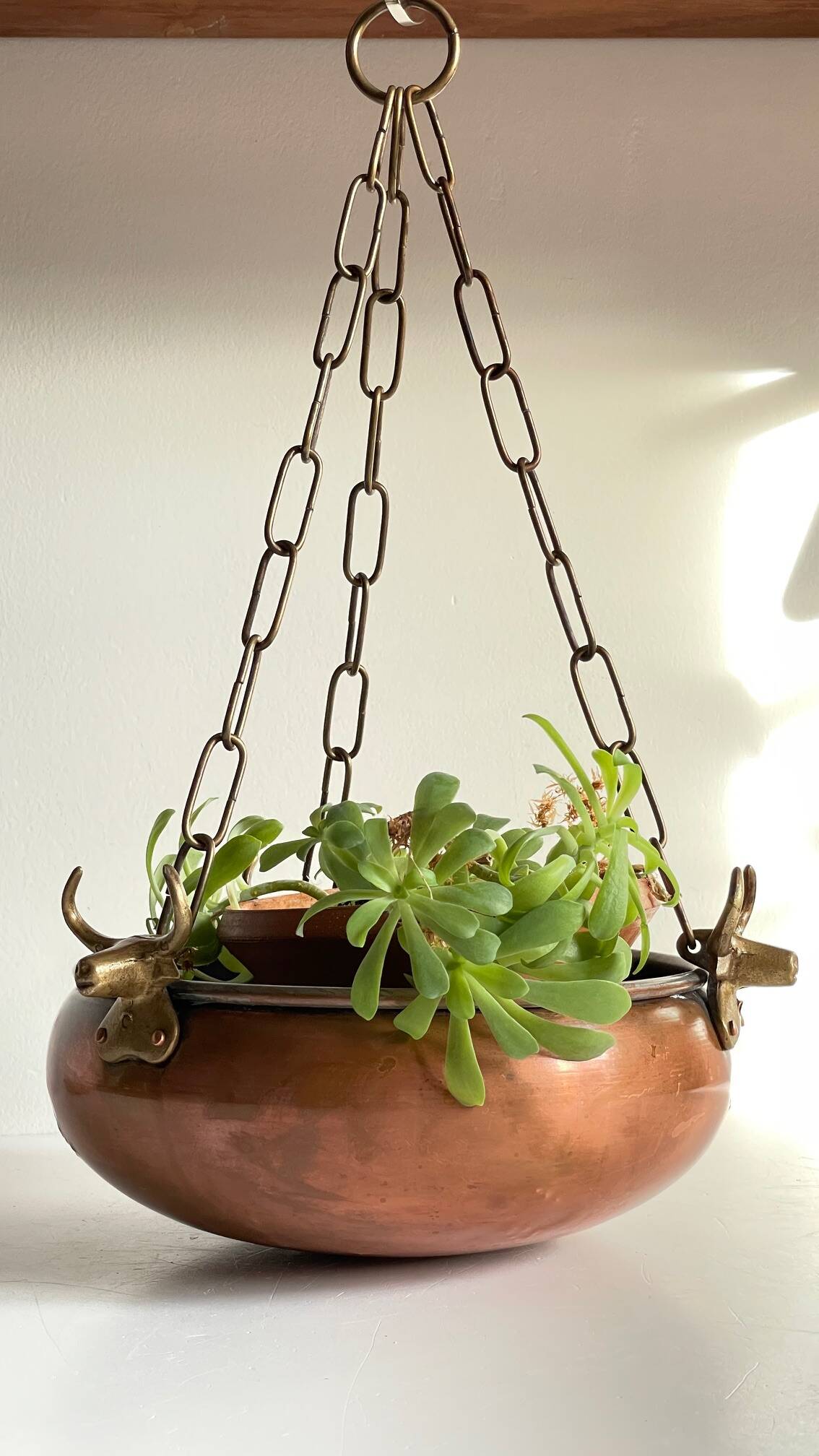 Hanging Vintage Cache-Pot