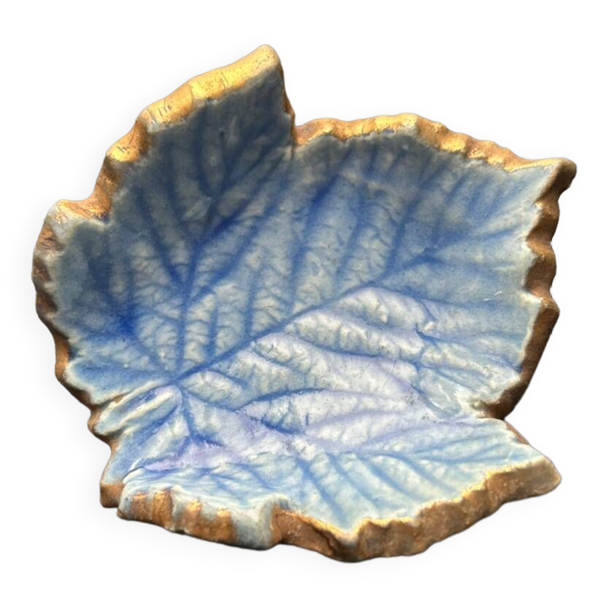 Small Accolay ceramic leaf pocket