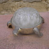 Vintage flower turtle