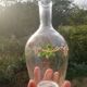 Carafe enamelled décor