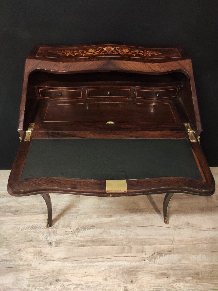 Secretary donkey back Napoléon III style
