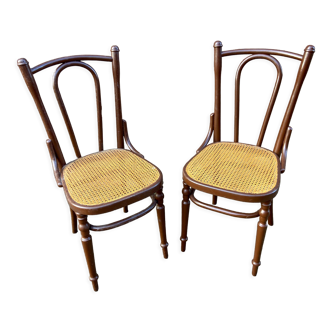 Pair of Viennese bistro chairs Fischel Nr 56 bentwood