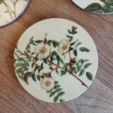 Coasters in their original box