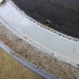 Pair of Eero Saarinen Tulip Chair