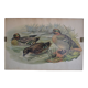 Vintage animal print ducks