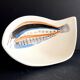 Earthenware "fish" cut by roger capron vallauris