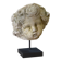 Reconstituted stone sculpture in antique style from the 20th century.