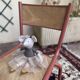 School desk and its chair