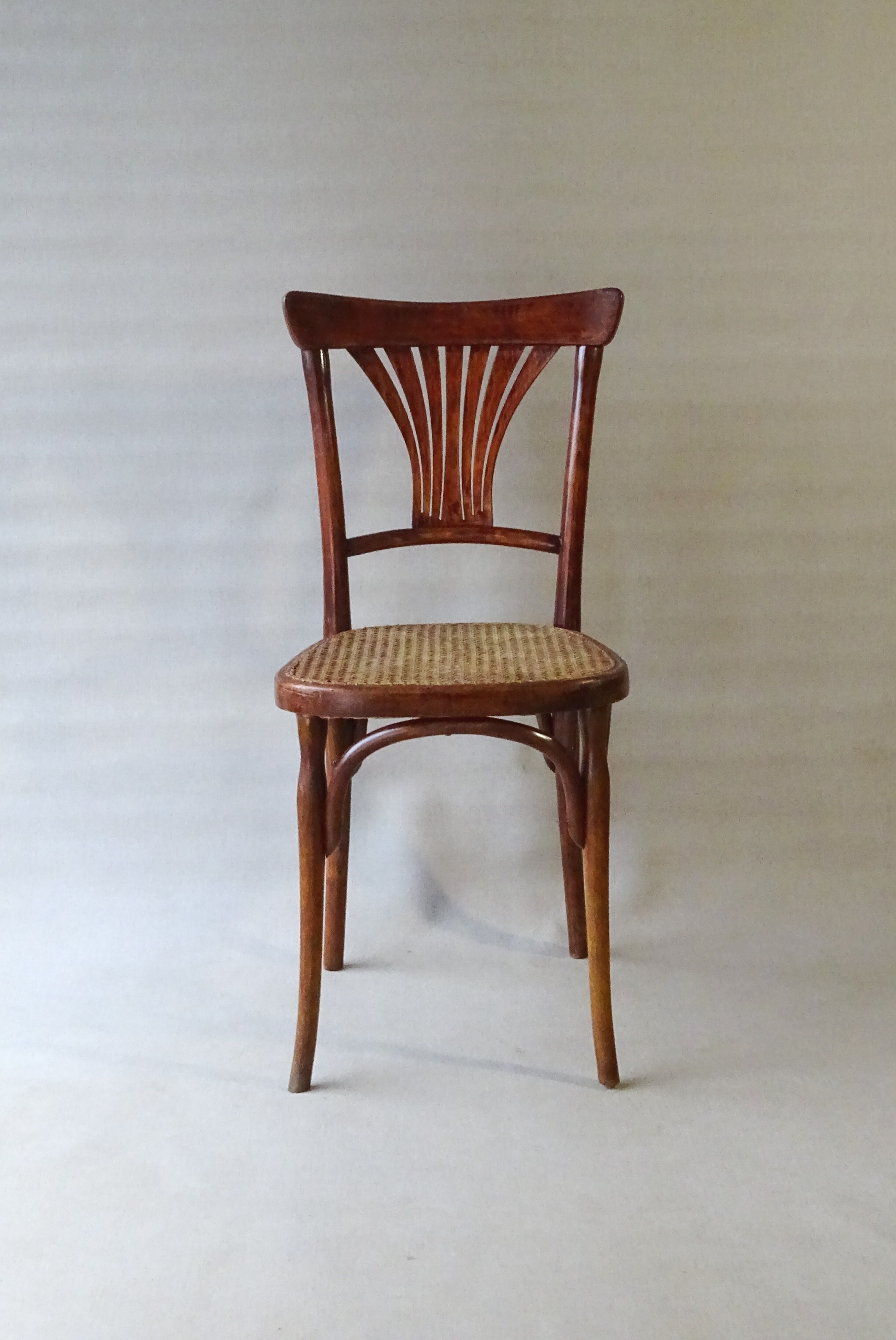 Two bistro chairs kohn n°196 in palmette, circa 1906, tanned