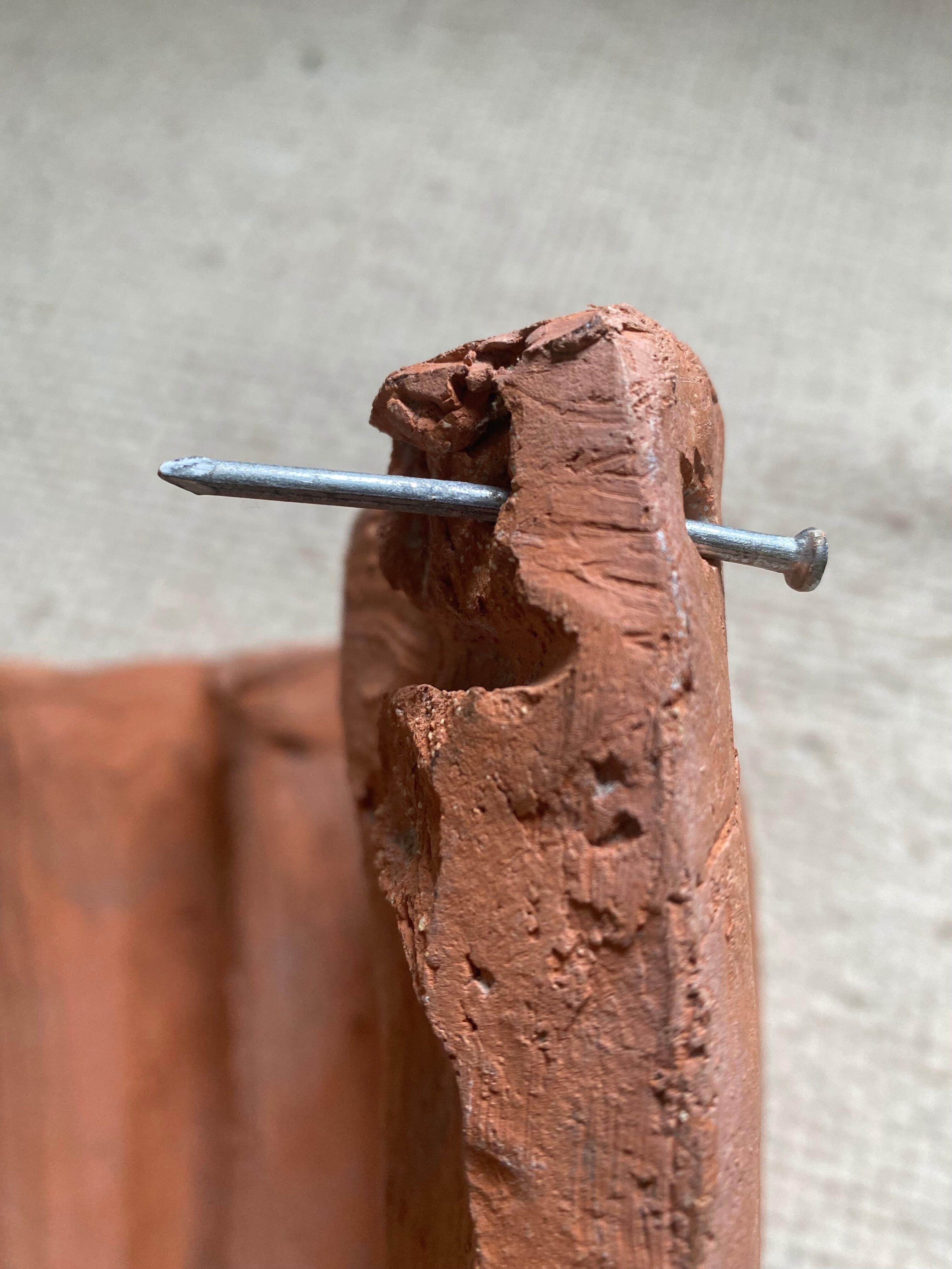 Pair of shell wall lamps