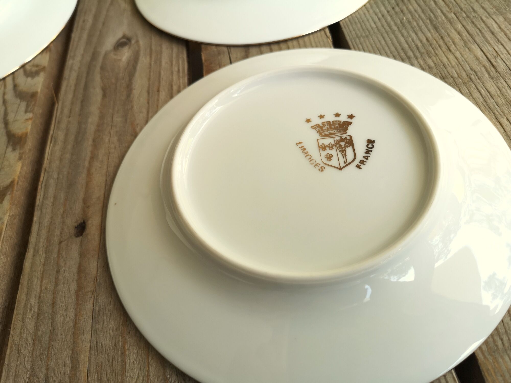 6 small plates signed Limoges France with nenuphar decor and golden border