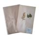 Herbarium - ancient Swedish herbarium board