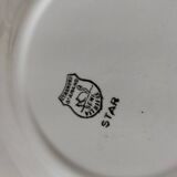 Céranord Saint Amand plates star model