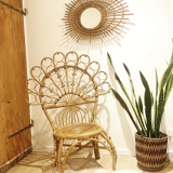 Vintage Peacock rattan armchair