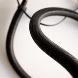 Black snake lamp
