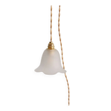 Suspension, glass lamp forming a tulip