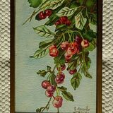 Set of 2 apple and cherry watercolors, framed