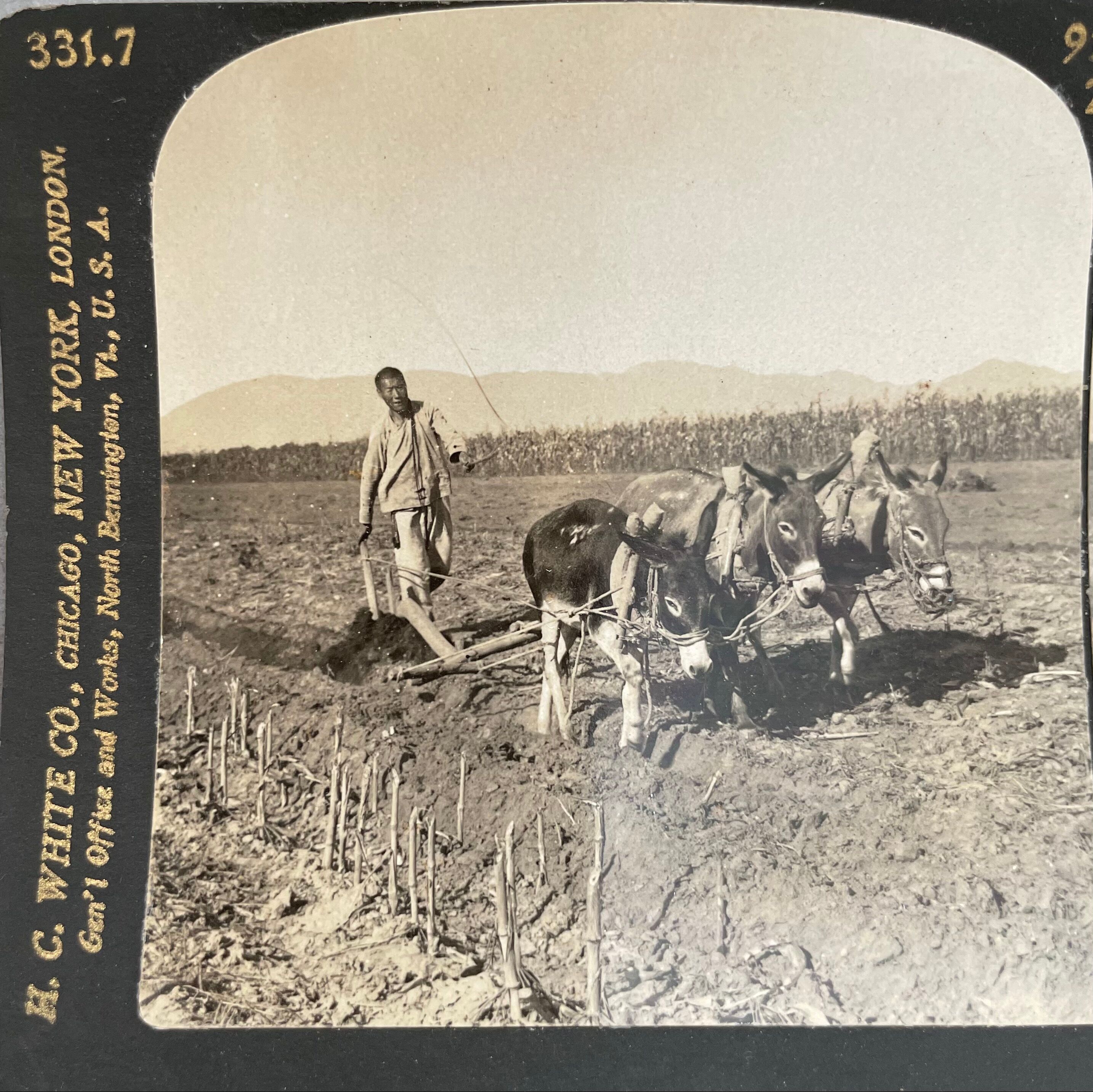 Old photography stereo, stereograph, luxury albumin 1903 Chinese farmer