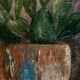 Cactus table