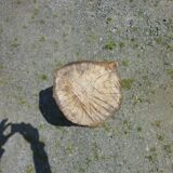 tabouret