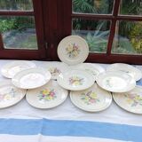 12 old flat plates