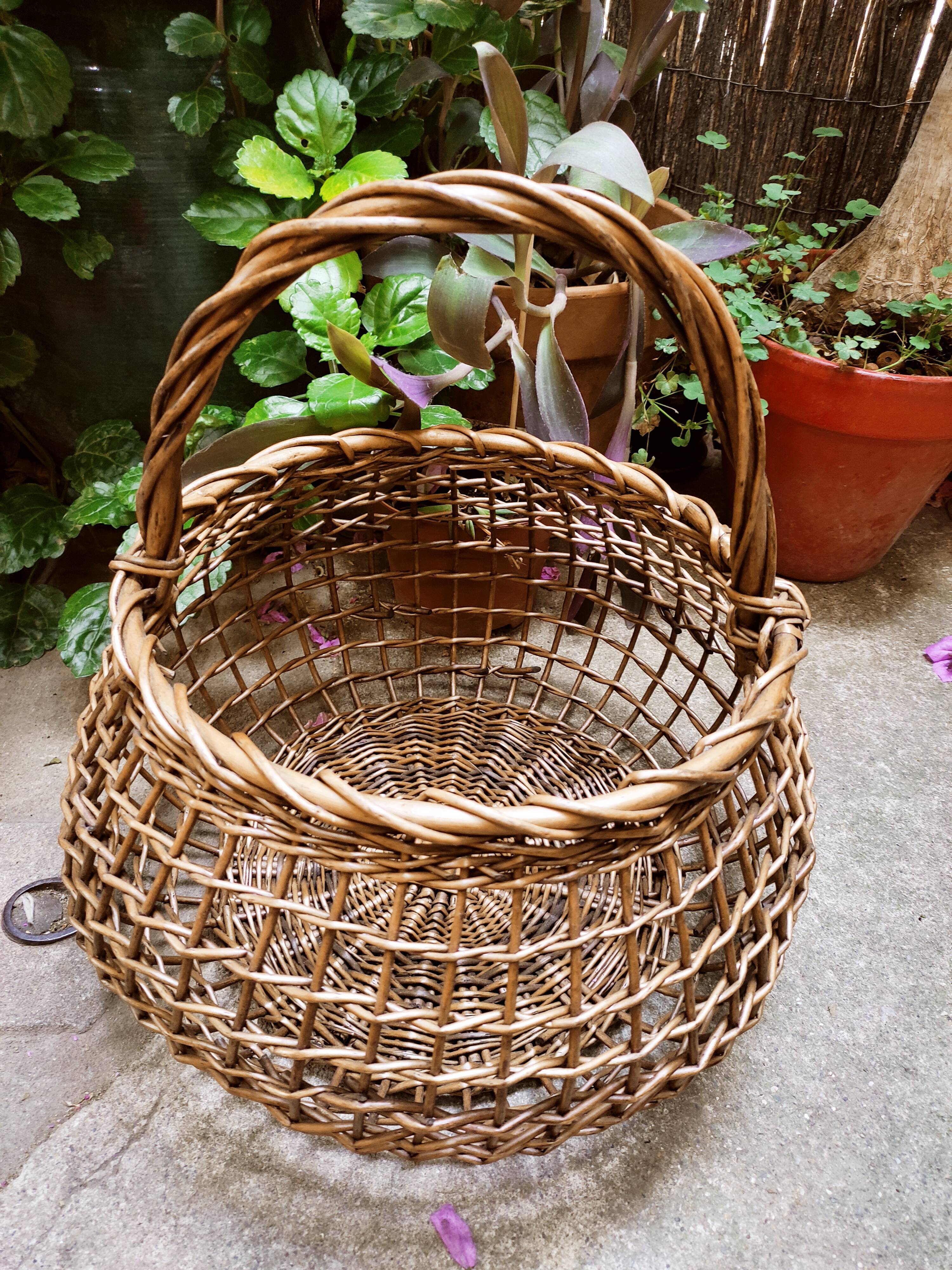 Openwork basket in willow rush