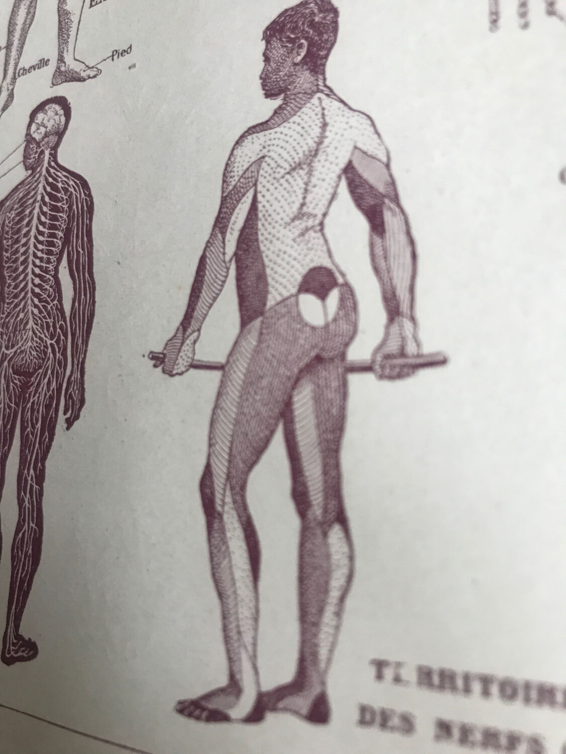 Original medicine board