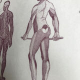 Original medicine board