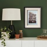 Cut, Corsica, vintage, photo board printed in 1935.