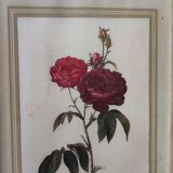 Redouté Frame