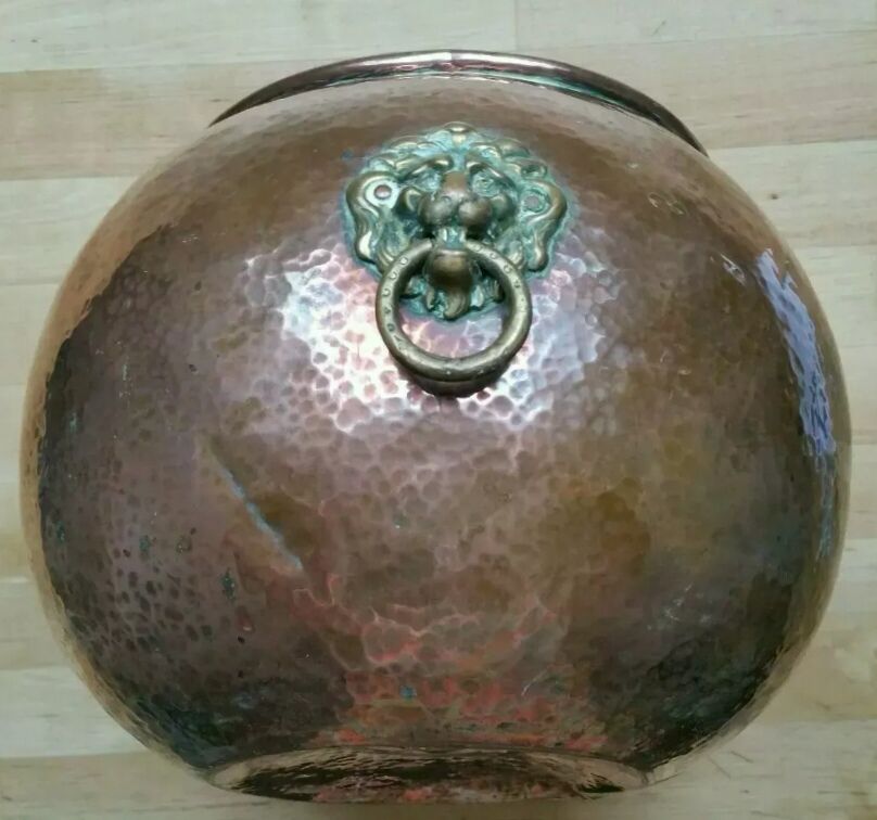 Copper lions head hide-and-seek