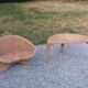 Fauteuil rotin et table basse rotin design des années 70