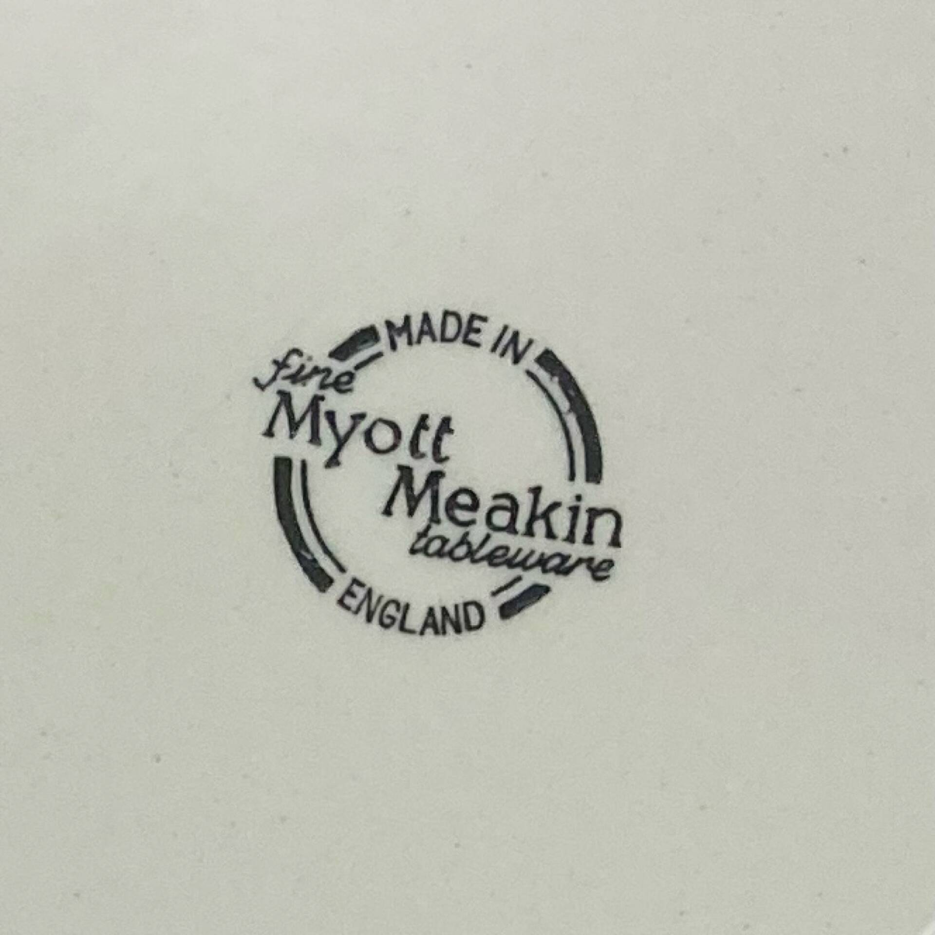Duo d’Assiettes Myott  Meakin Modèle Tonquin