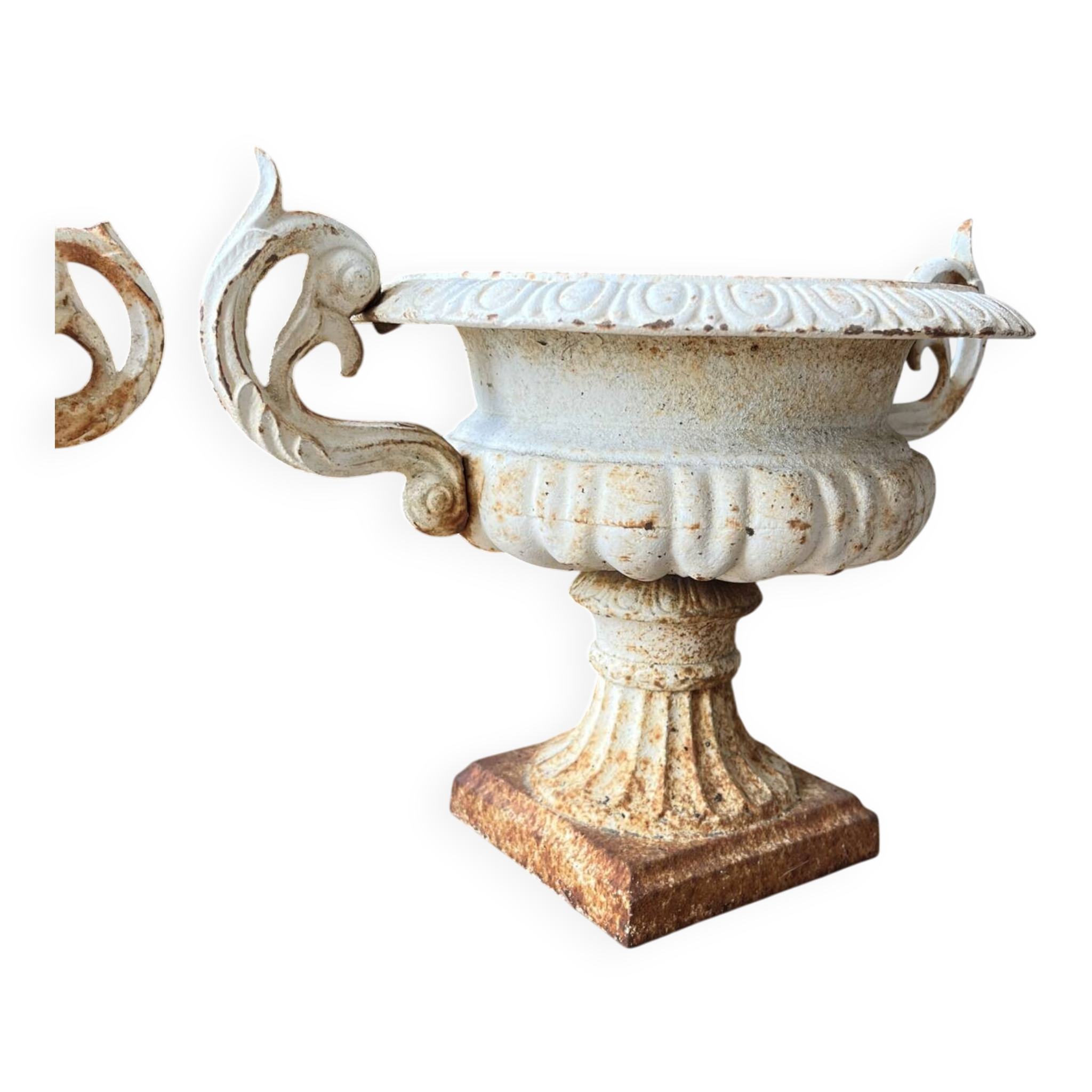 White Médicis vases