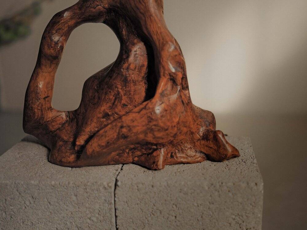 Sculptural lamp made of olive wood, around 1960.