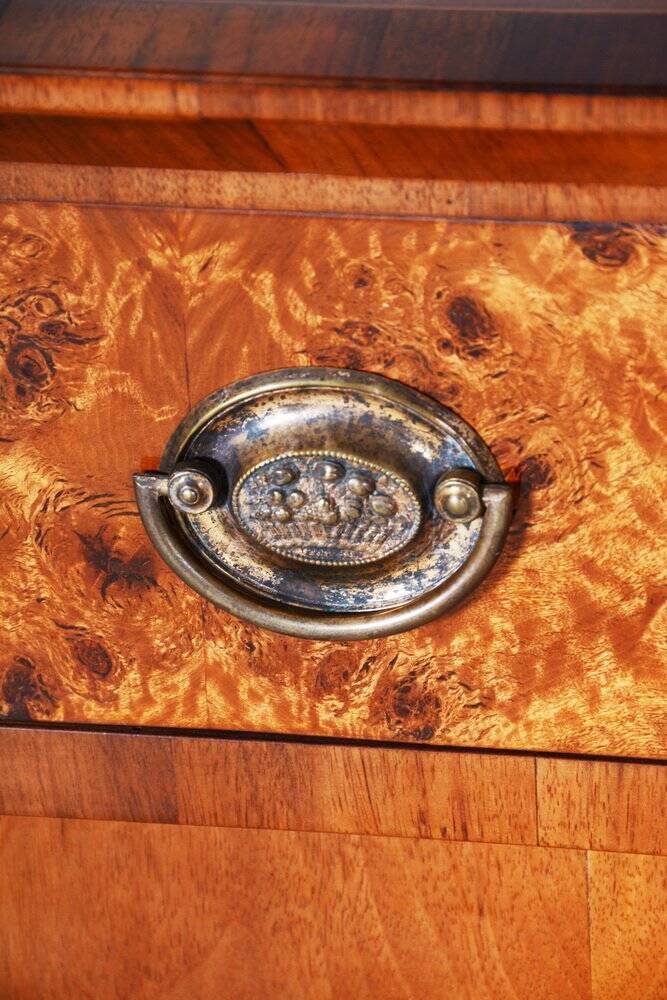 Biedermeier Cabinet in Walnut, Czech, 1840s